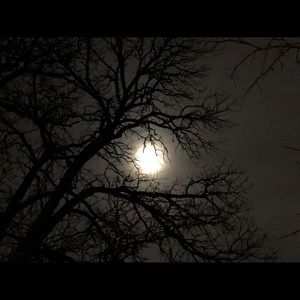 Meet your Posher, Prerana